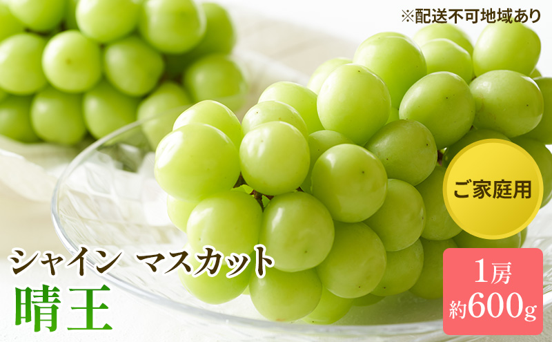ぶどう 2025年 先行予約 ご家庭用 シャイン マスカット 晴王 約600g×1房 ブドウ 葡萄  岡山県産 国産 フルーツ 果物