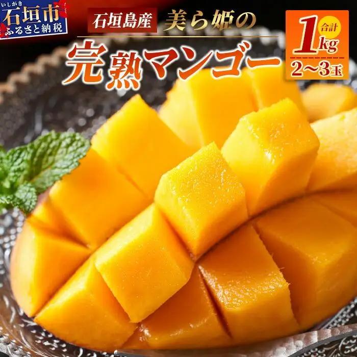 ［予約受付］美ら姫マンゴー1kg（完熟・アーウィン種）　CB-1