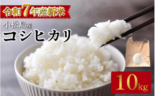 【2026年1月発送分】米 コシヒカリ10kg（5kg×2） 2025年10月から順次発送   米 白米 精米 こめ お米 産地直送 選べるお届け月 おすすめ 人気 備蓄 ご飯 ごはん 小松島 コシヒカリ