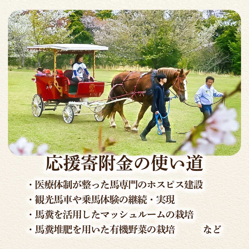 引退馬 余生支援 1,000円コース 返礼品なし 養老馬 競走馬 引退競走馬 馬支援 競馬 馬 うま ウマ 馬支援 動物 あしずりダディー牧場 高知県 土佐清水市【R01528】