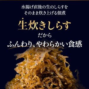 訳あり しらす 佃煮 500g 生炊きしらすの佃煮
