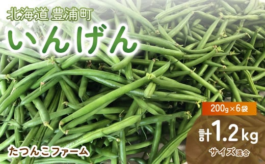 いんげん (200g × 6袋) 1.2kg　サイズ混合 北海道 豊浦町 【ふるさと納税 人気 おすすめ ランキング 野菜 根菜 いんげんインゲン国産 バラ 詰合せ 混合 おいしい 美味しい 甘い 北海道 豊浦町 送料無料】 TYUF001