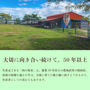 【牛肉】 切り落とし 2kg 小分け 国産 牛肉