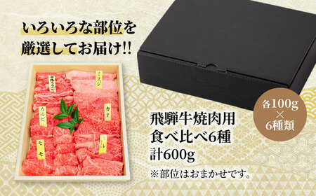 ＜厳選！じゅわっと柔らかい＞飛騨牛 A5ランク 焼肉用 6種食べ比べセット【有限会社マルゴー】  飛騨牛 和牛 黒毛和牛 ブランド牛 銘柄牛 焼肉 焼肉用 希少部位 6種 600g A5ランク A5等