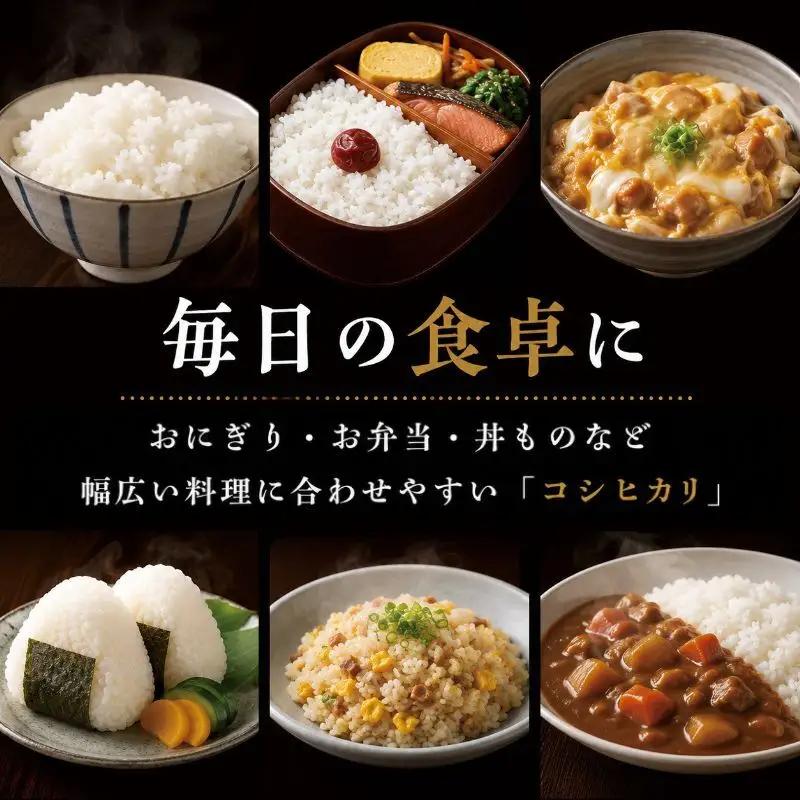 コシヒカリ 白米 令和7年産 千葉県産 コシヒカリ【10kg(5kg×2)】【定期便2ヶ月】