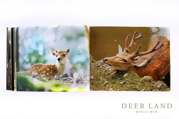 奈良の鹿 写真集「DEER LAND 誰も知らない鹿の国」 2作目 オールカラー サイン入り KAZUTO PHOTO OFFICE 佐藤和斗 I-192