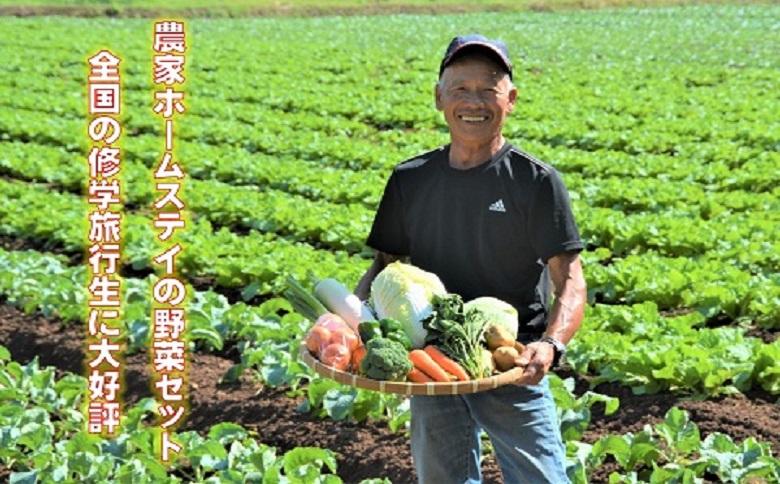 農漁村体験の聖地「松浦党の里」旬の野菜セット【B2-162】 野菜 旬 旬の野菜 野菜詰め合わせ 地元野菜 地元食材 松浦産