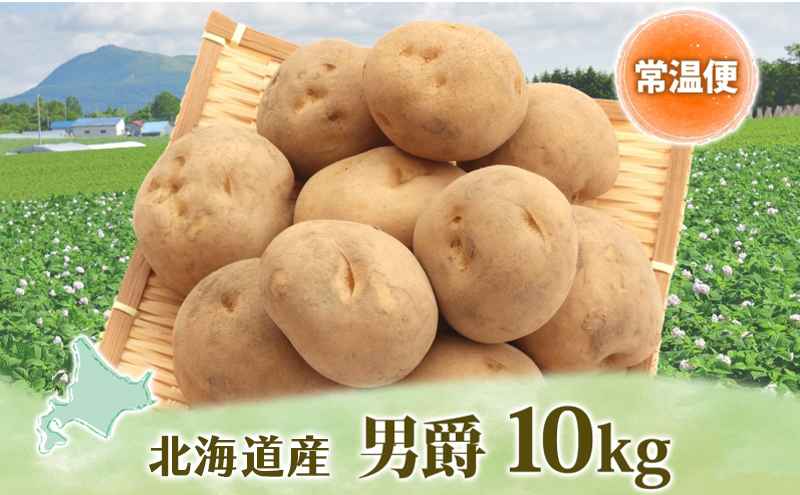 男爵 10kg 2025年9月上旬～12月中旬までお届け ダンシャク コロッケ ジャガイモ 芋 甘い ホクホク ポテト カレー 調理 料理 煮込み料理 旬 野菜 お取り寄せ 北海道 洞爺湖町