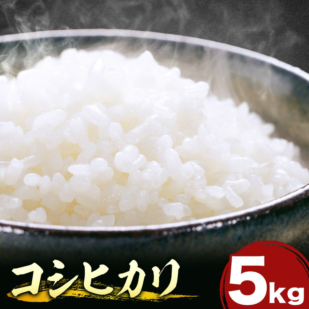 【ふるさと納税】米 白米 コシヒカリ 5kg 令和7年産 都呂々みかん生産者グループ《30日以内に出荷予定(土日祝除く)》 熊本県 苓北町 米 こめ コメ 熊本県産 こしひかり