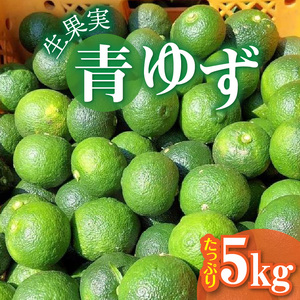 訳あり 青ゆず 生果実 たっぷり5㎏ 5kg 40個程度 特産品 ゆず 果汁 さわやか 風味 小ぶり 皮 柚子ごしょう 加工品づくり 青ゆずスカッシュ 輪切り 風味付け 柑橘 果実 フルーツ 豊か 自然 恵み 澄んだ空気 おいしい水 お取り寄せ 福岡県 上毛町 送料無料 _MM0206