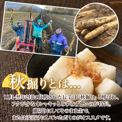 ふるさと納税 倶知安町 北海道倶知安町産　長芋　計5kg　秋堀りとろろ芋　グリーンアースファーム |  | 02