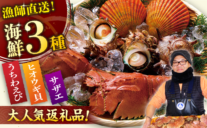 平戸瀬戸物語【平戸さくら水産】[KAA155]/ 長崎 平戸 魚介類 海老 えび エビ ウチワエビ サザエ ヒオウギ 貝 カキ 牡蠣 