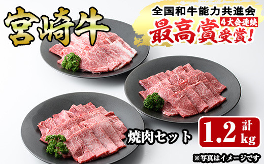 宮崎牛焼肉セット(合計1.2kg・ウデ焼肉400g、モモ焼肉400g、バラ焼肉400g)国産 九州産 宮崎県産 牛肉 黒毛和牛 和牛 焼き肉 霜降り 食べ比べ セット 冷凍 バーベキュー【R-55】【ミヤチク】