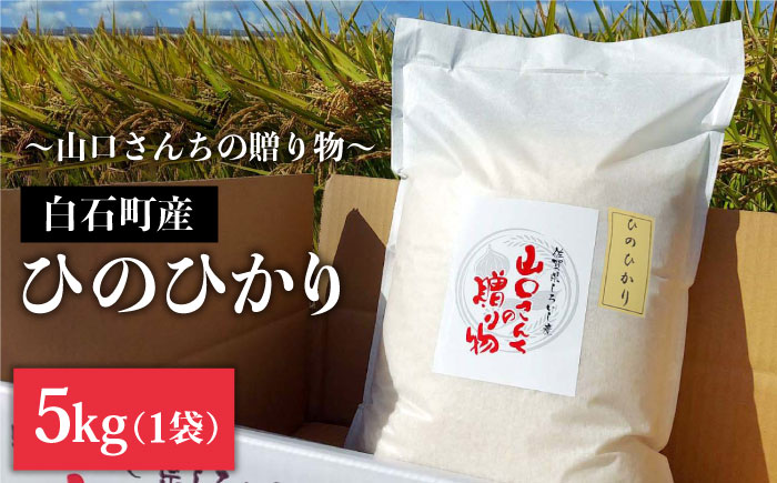 【先行予約 2026年10月～発送】令和8年産 新米 特別栽培米 ひのひかり 5kg 白米 山口さんちの贈り物【y'scompany】お米 [IAS010]