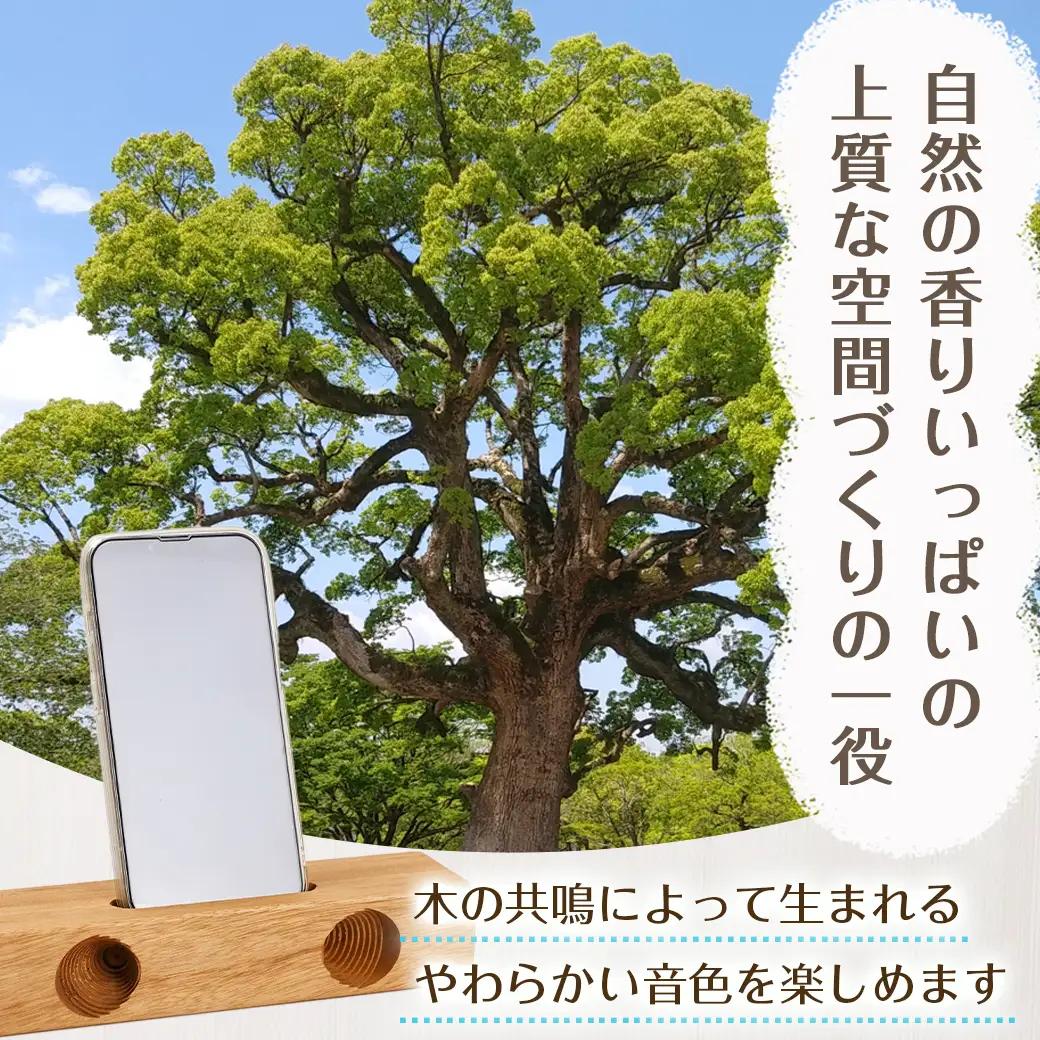 楠の木のウッドスマホスピーカー(ボックス形)〔LE-4301〕_(都城市) 国産 楠の木 くすのき 天然木 無垢材 自然の香り 木製家具製造メーカー 橋詰家具 はしづめ家具 スピーカー 電池・電源不要