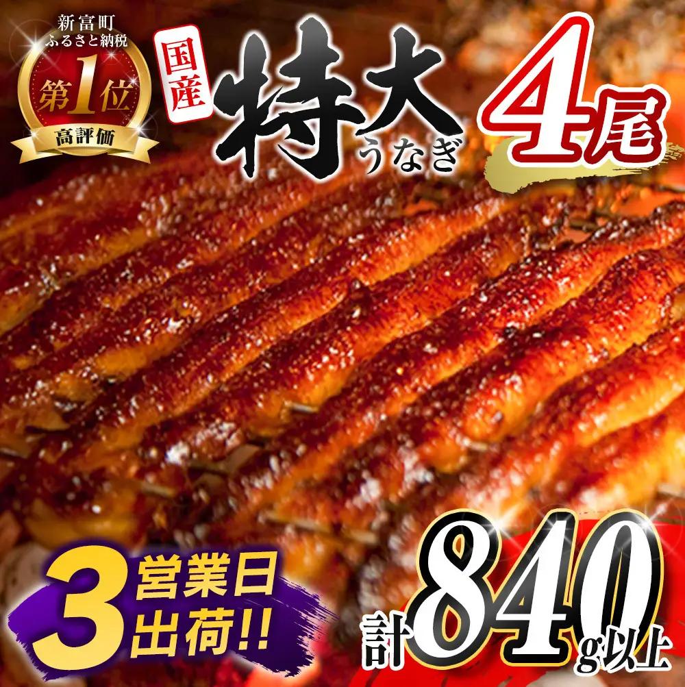 新富町産うなぎ蒲焼4尾 合計720g以上