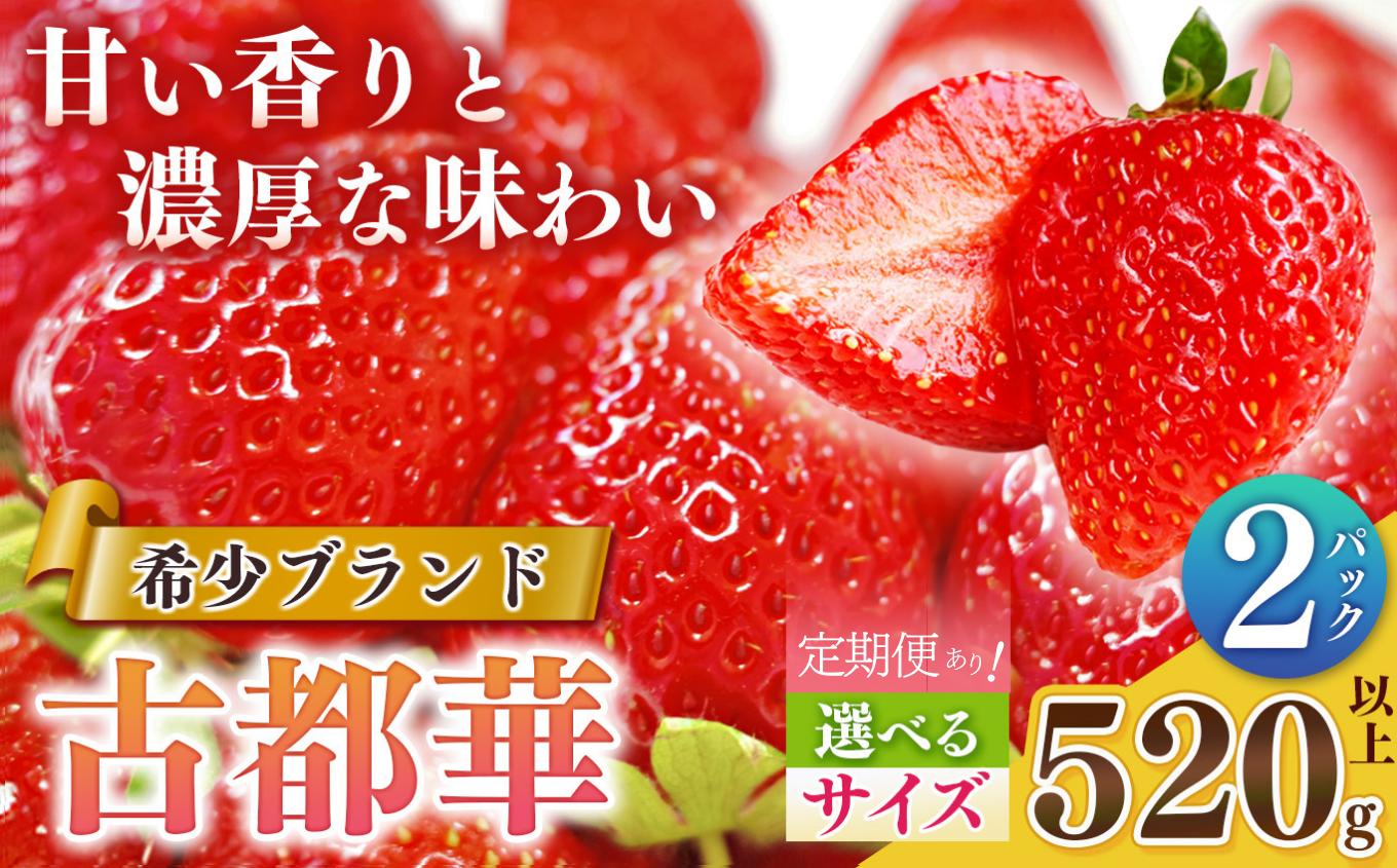 
                  【 サイズ が 選べる ！】 平群 の 古都華 扇田農園 | 先行予約 フルーツ 果物 くだもの 定期便 定期 あり ブランド いちご 苺 古都華 ことか 甘い 大人気 満足 希少 希少品種 ストロベリー 美味しい 品種 特徴 糖度 ルビー色 1月 2月 3月 4月 発送 旬 送料無料 濃厚 香り 果汁 味わい深い お取り寄せ 産地直送 扇田農園 名産地 奈良県 平群 町
                