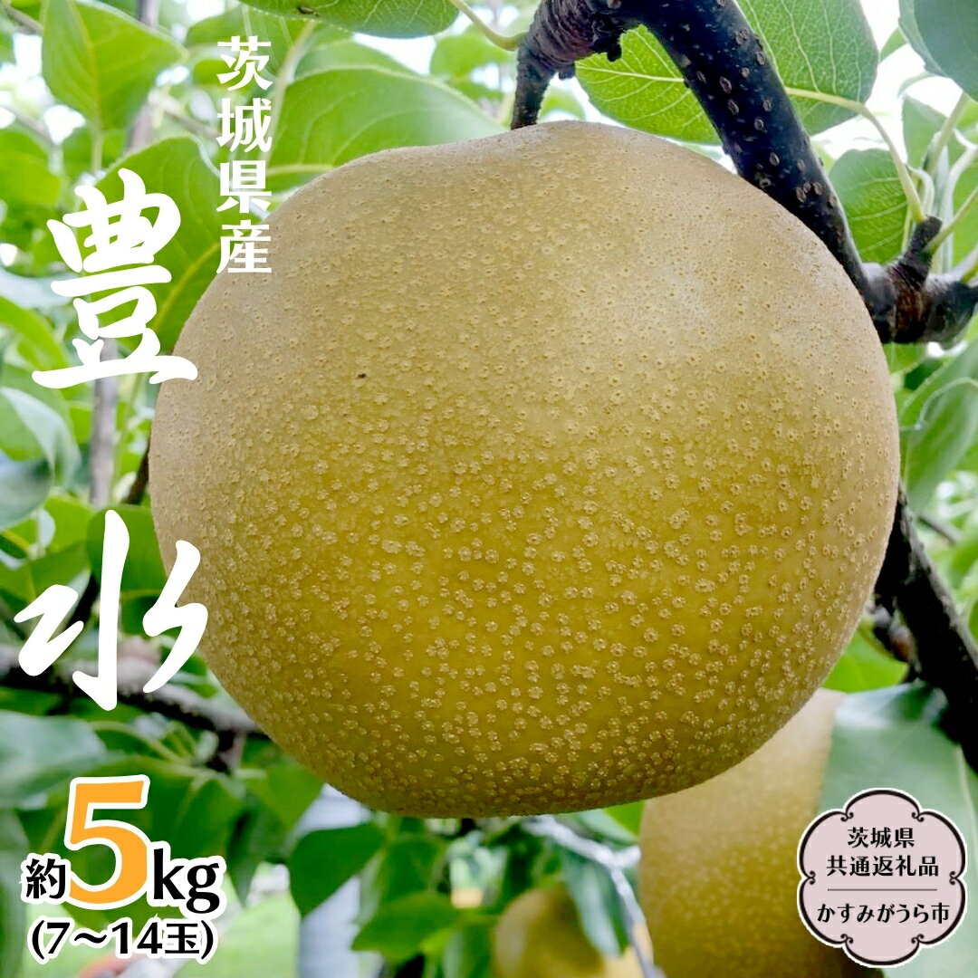 【ふるさと納税】【 先行予約 】 茨城県産 梨 豊水 約5kg 7玉～14玉 (茨城県共通返礼品 かすみがうら市) (2026年8月中旬発送開始) 産地直送 久保田果樹園 フルーツ 甘い 直送 茨城 限定 ギフト 梨 豊水 ほうすい 果物