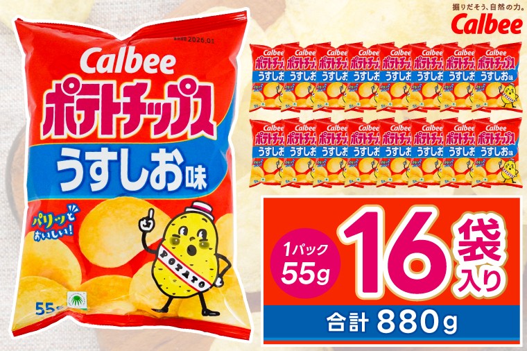 
            ポテトチップス カルビー 「うすしお味」16袋（55g×16袋）1ケース 総計880g【ポテチ Calbee うすしお セット 菓子 ポテト チップス スナック おやつ しお じゃがいも ジャガイモ お取り寄せ まとめ買い 詰め合わせ 詰合せ 人気 送料無料】  (BG026)
          