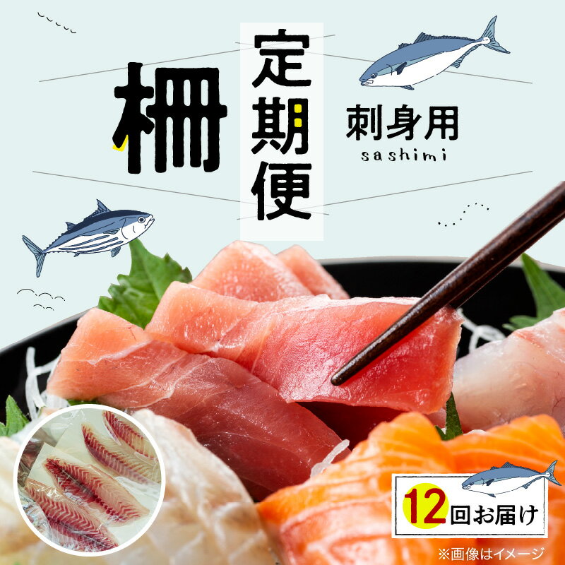 【ふるさと納税】【定期便12回】 お刺身用 柵 毎月1回 600g 前後 お届け 鮮魚 旬 冷蔵 刺身ブロック 真空パック 切るだけ 海鮮 新鮮 魚 簡単 調理 時短 海の幸 寿司 グルメ 木戸鮮魚店 熊本県 天草市 お取り寄せ 送料無料