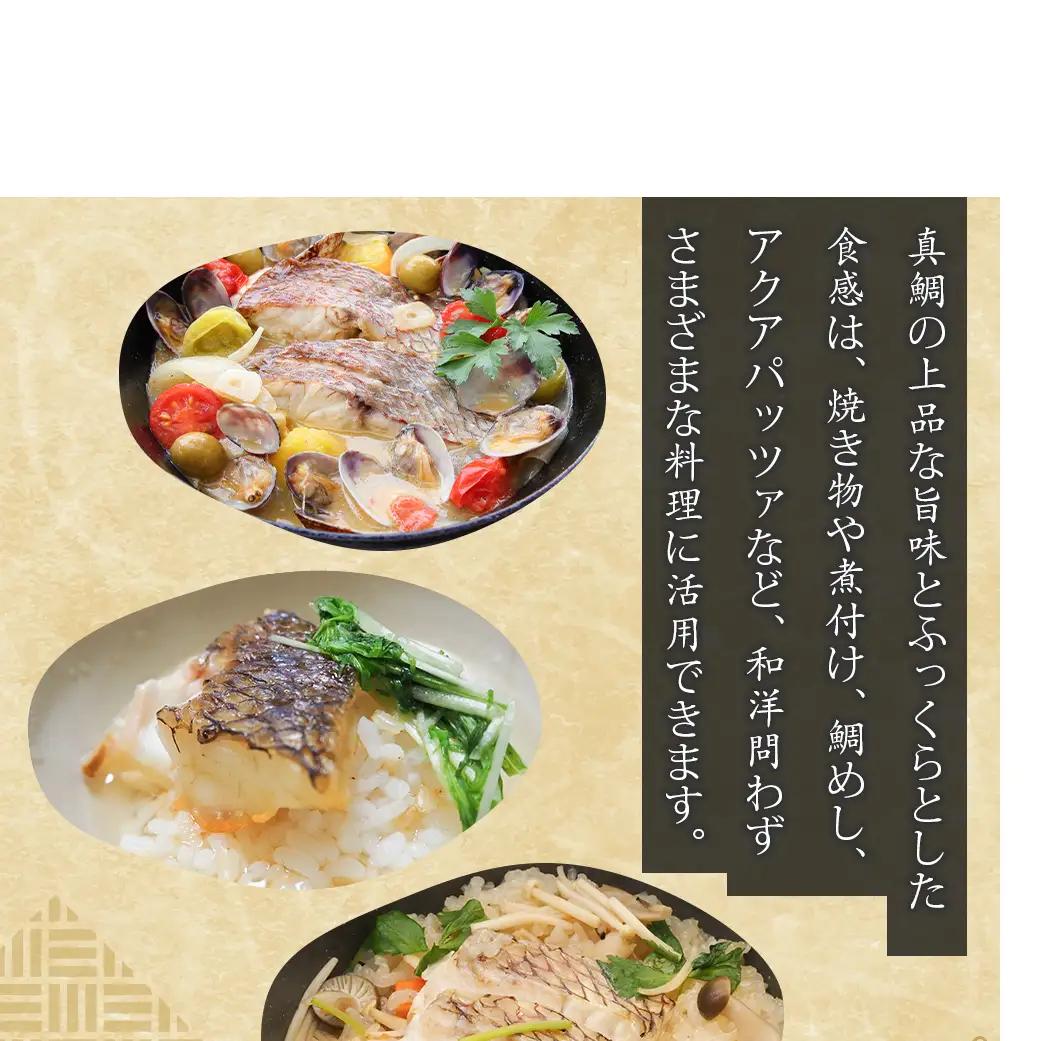 淡路島産 真鯛切身 120g（2～3切）×8パック