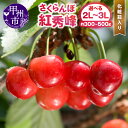 【ふるさと納税】 さくらんぼ 紅秀峰 化粧箱入り 選べる内容量 約300g 約500g 2L～3L 大粒 甘い 高糖度 糖度20度 果物 フルーツ チェリー 山梨県産 甲州市産 旬 人気 ギフト 2025年発送 （DOM）