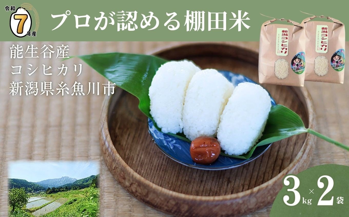 
            【選べる発送時期】令和7年産 新潟県能生谷産コシヒカリ 6kg（3kg×2袋）プロも認める棚田米 農家直送 2025年産 JATs有限会社【新潟県 糸魚川市 米 お米 こめ コメ ご飯 ライス ふるさと納税米 ブランド米 おすすめ ギフト 6キロ（3キロ×2袋）精米 白米 人気 食品 選べる配送月 先行予約】
          