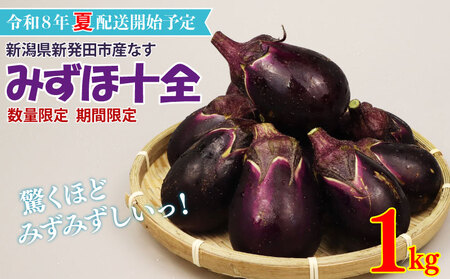 R8年産先行予約 なす 1kg 約15個 みずほ十全 なす なす なす なす なす なす nozofarm002