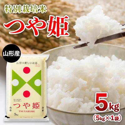 ふるさと納税 山形市 山形産 特別栽培米 つや姫 5kg FZ26-905