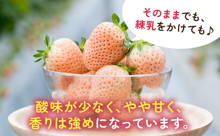 【令和7年分先行予約】【全3回定期便】淡いピンクの白いちご「淡雪」 計1.32kg （220g×2パック×3回） / いちご イチゴ 苺 果物 フルーツ / 佐賀県 / 岸川農園 [41ASAG005