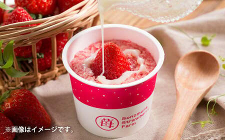いちご 冷凍 合計12カップ（600g） 練乳  完熟 冷凍 いちご 「ぷち苺」 と 「さら苺」 各6カップ 合計12カップ（600g） 練乳付き 1本（120g） 園村苺園 熊本県産冷凍いちご 宇城