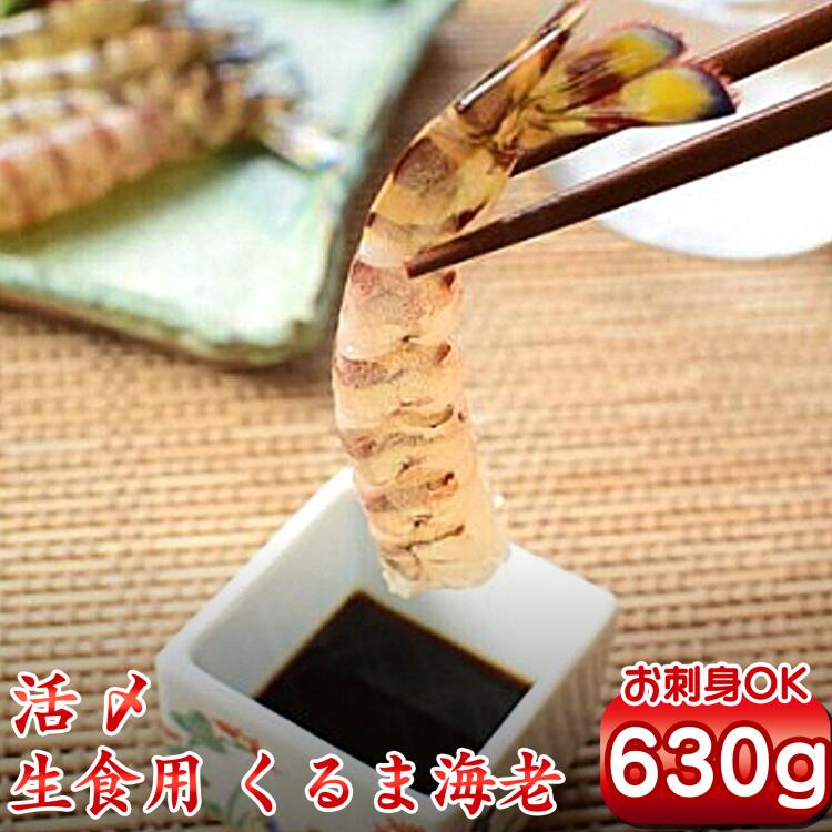 【ふるさと納税】生食用ミニ車海老630g（冷凍210g×3パック）