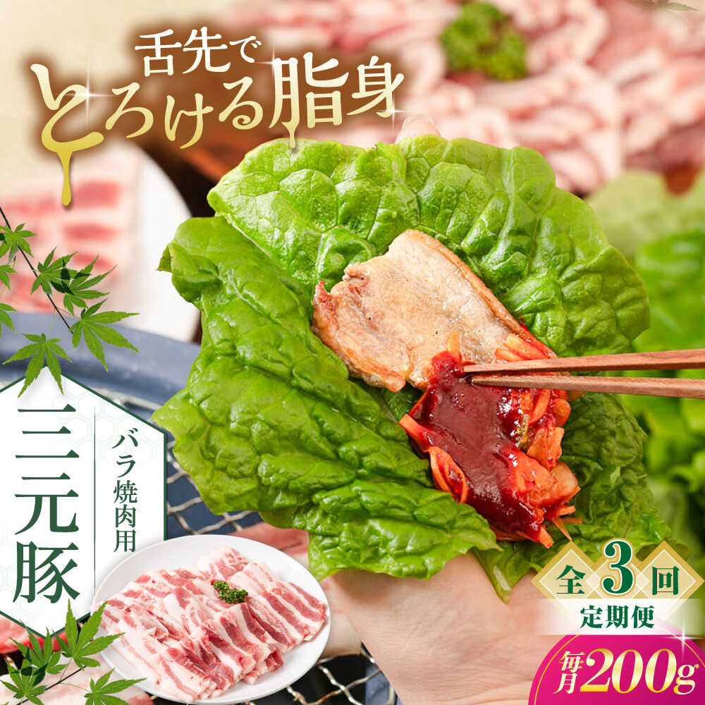 【ふるさと納税】【全3回定期便】三元豚 バラ 焼肉用 200g《喜茂別町》【平田牧場】 肉 豚肉 豚バラ バラ カルビ 焼肉 スライス 冷凍配送 定期便 北海道 平田牧場 [AJAP152] 24000 24000円