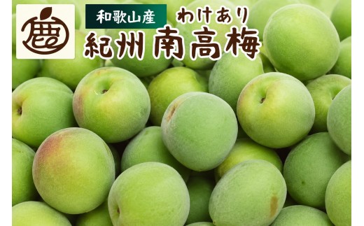 
                  家庭用 青梅  南高梅 2kg+250g / 梅 梅シロップ 梅酒 梅干し 和歌山 紀州 ※2027年5月下旬～7月上旬に順次発送予定 ※北海道・沖縄・離島への配送不可 【ikd508-c-2H】
                