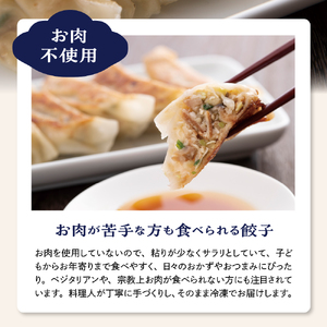 やまがた東根　ふ餃子　12個×6セット　hi004-hi038-007r　冷凍 麩 餃子 72個 惣菜 おかず お弁当 おつまみ 山形県 東根市