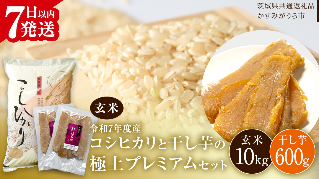 【 令和7年産 】 コシヒカリ ・ 干し芋 極上プレミアム セット 《 玄米 》 (玄米10kg／干し芋600g) (茨城県共通返礼品 かすみがうら市産) 米 ごはん もっちり 甘い コメ お米 銘柄米 スピード 最短 7日 すぐ届く すぐ発送 さつまいも 芋 お菓子 おやつ デザート 和菓子 いも [EX025sa]