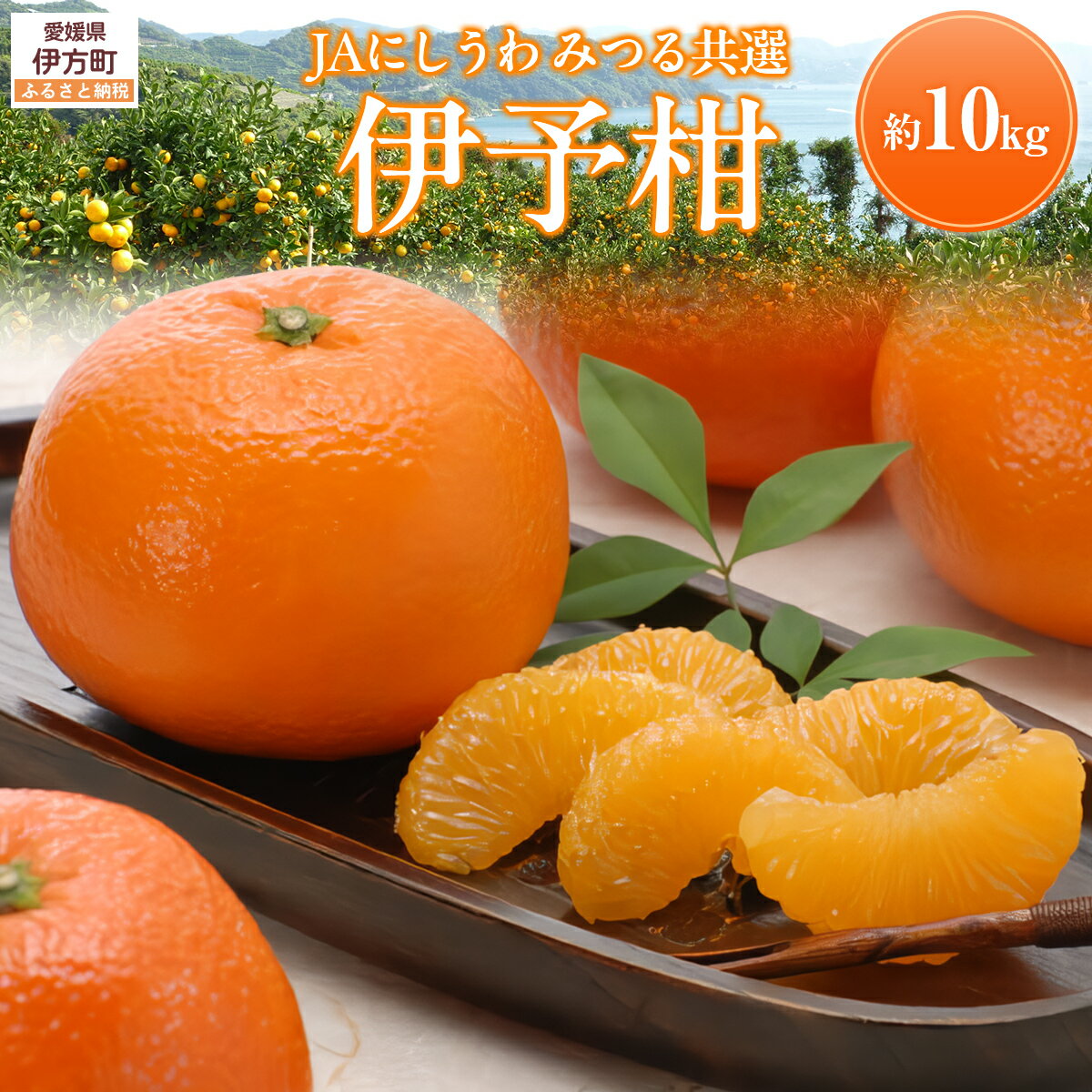 【ふるさと納税】【先行予約】【数量限定】JAにしうわ みつる共選 伊予柑 約10kg ※離島への配送不可（2026年1月上旬より順次発送予定） 【 人気 おすすめ ランキング みかん 伊予柑 いよかん 柑橘 フルーツ くだもの 国産 甘い 愛媛県 伊方町 送料無料 】 IKTBC007
