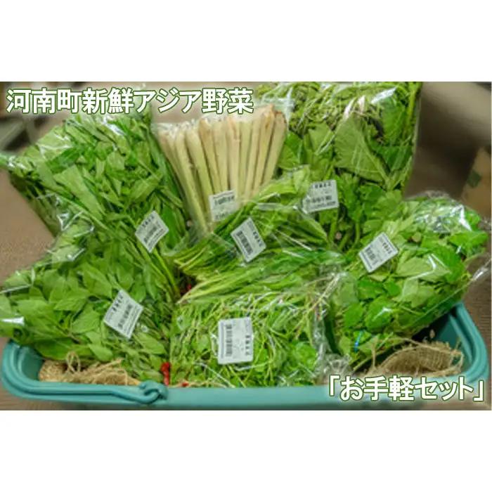河南町新鮮アジア野菜「お手軽セット」 No.332