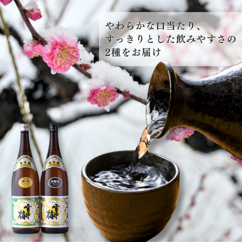 酒 雪中梅 本醸造1800mlと普通酒1800ml お酒 日本酒 アルコール