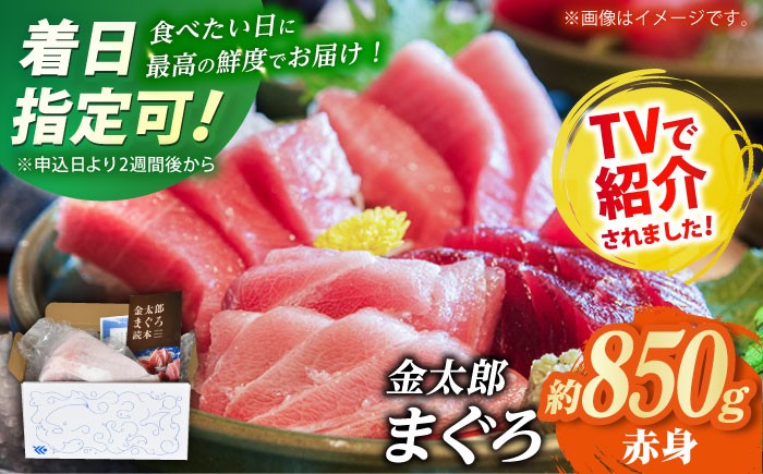 
                  【数量限定！】【メディアで多数紹介！】金太郎 マグロ 冷凍 ブロック 赤身 約850g【徳丸】 [RAC014]  
                