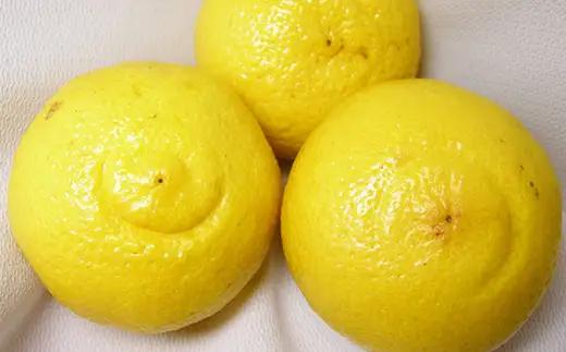 はるか 約3kg 甘み 香り みかん フルーツ お取り寄せ ミカン 蜜柑  FAH-0036