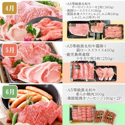 定期便(1年で10回配送)枕崎お楽しみ便(A5等級黒毛和牛・黒豚・黒豚加工品etc)II-6002【1166753】ふるさと納税 定期便 牛肉 豚肉 霜降り 焼肉 しゃぶしゃぶ 生姜焼き ステーキ ハ