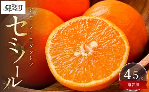 ミカファームのセミノール4.5キロ(贈答用)【数量限定 果物 フルーツ みかん セミノール デザート 4.5kg 贈答用 贈り物 三重県 御浜町】