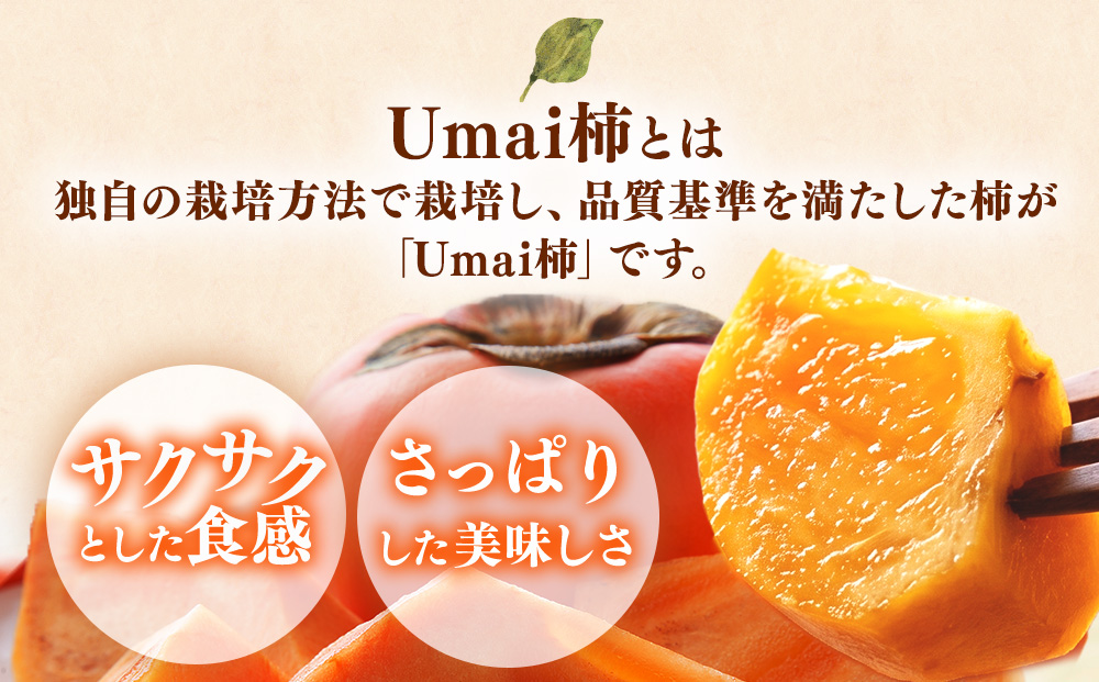 【先行予約】うま杉の富有柿 10kg 42玉(L) ※2026年11月中旬～12月中旬頃に順次発送予定