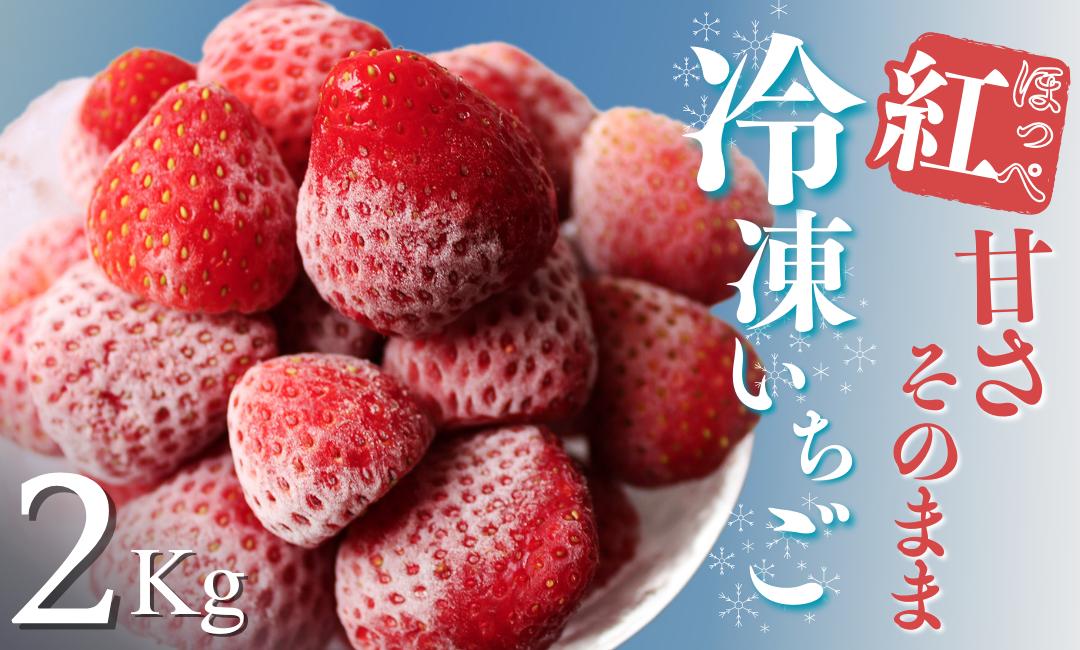 
                  【3～7月発送】 冷凍いちご 紅ほっぺ こだわり いちご フローズン 冷凍 イチゴ strawberry 苺 新鮮 朝摘み 朝採り 産直 産地直送 安心安全 ichigo itigo いちご 苺 果物 フルーツ くだもの ギフト プレゼント 贈物 贈答 ケーキ ジャム ふるさと納税 ふるさと納税苺 いちご 静岡県 南伊豆町 のぶちゃんストロベリーふぁ〜む　<T-4>
                
