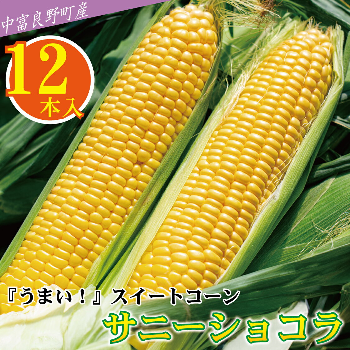 【ふるさと納税】【中富良野町　寺坂農園】とうもろこし『サニーショコラ』（12本入り）