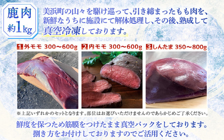 ジビエ 鹿肉 モモ ブロック セット 約1.0kg【添加物不使用 肉 シカ肉 国産】 [m77-a004]