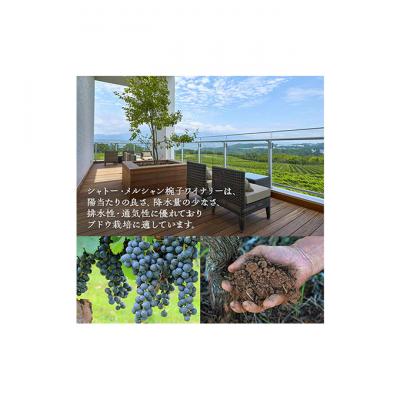 ふるさと納税 上田市 赤ワイン 飲み比べセット 750ml 2本セット[54041116] |  | 02