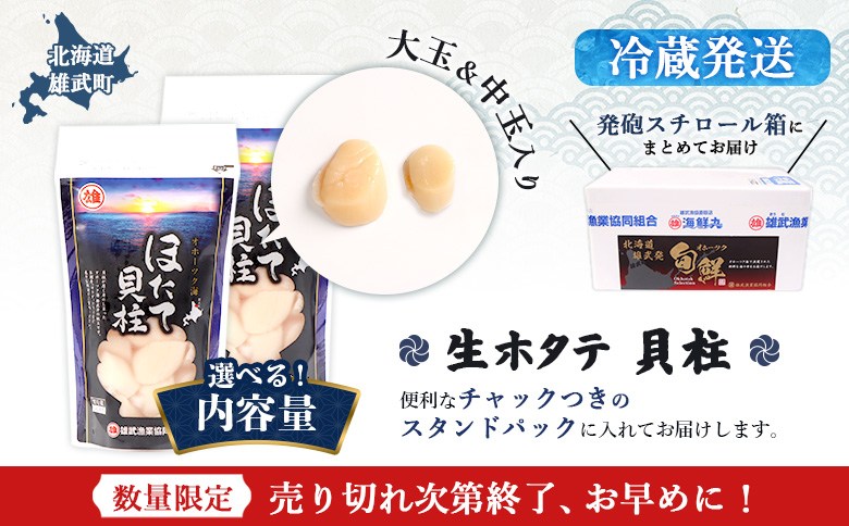 【北海道内限定配送！生ほたて】《期間限定》北海道雄武産 生玉ほたて1ｋｇ　500ｇ×2 塩水パック（冷蔵）【0713303】 500g×2