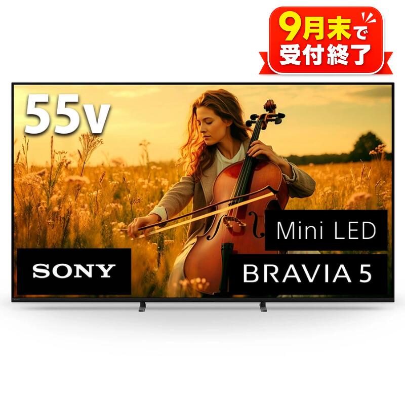 【ふるさと納税】 【ソニー】4K液晶テレビ　BRAVIA5　55型（設置あり）＜在庫限り＞ ／ テレビ てれび TV 液晶テレビ 液晶 ブラビア 4K高画質 4K画質 色鮮やか 大画面 おうち映画館 Mini LED搭載 臨場感 高音質 SONY 送料無料 神奈川県